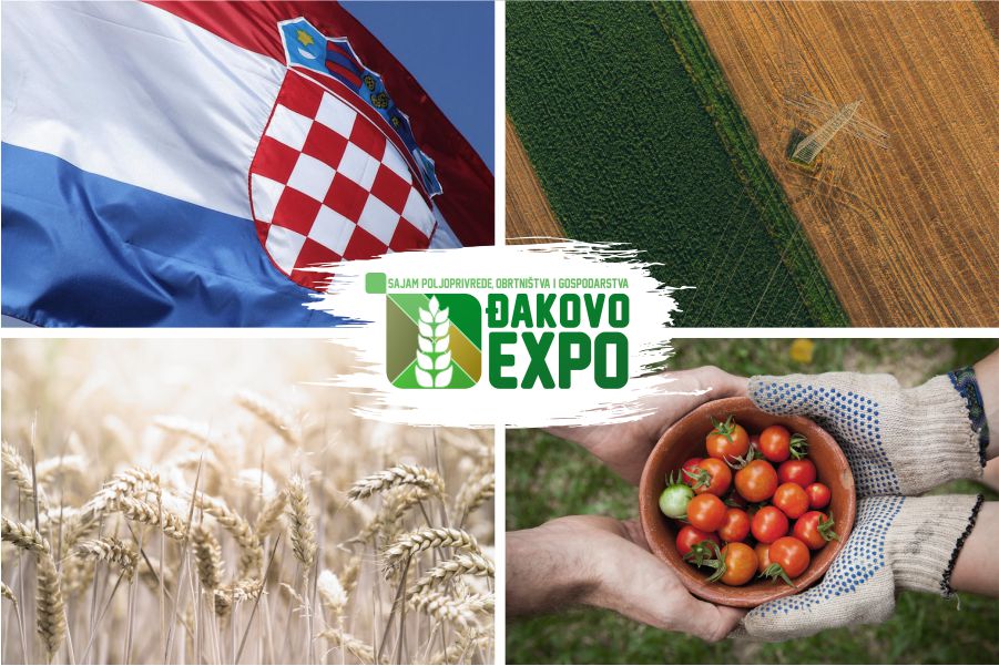 djakovo_expo_opis_loga